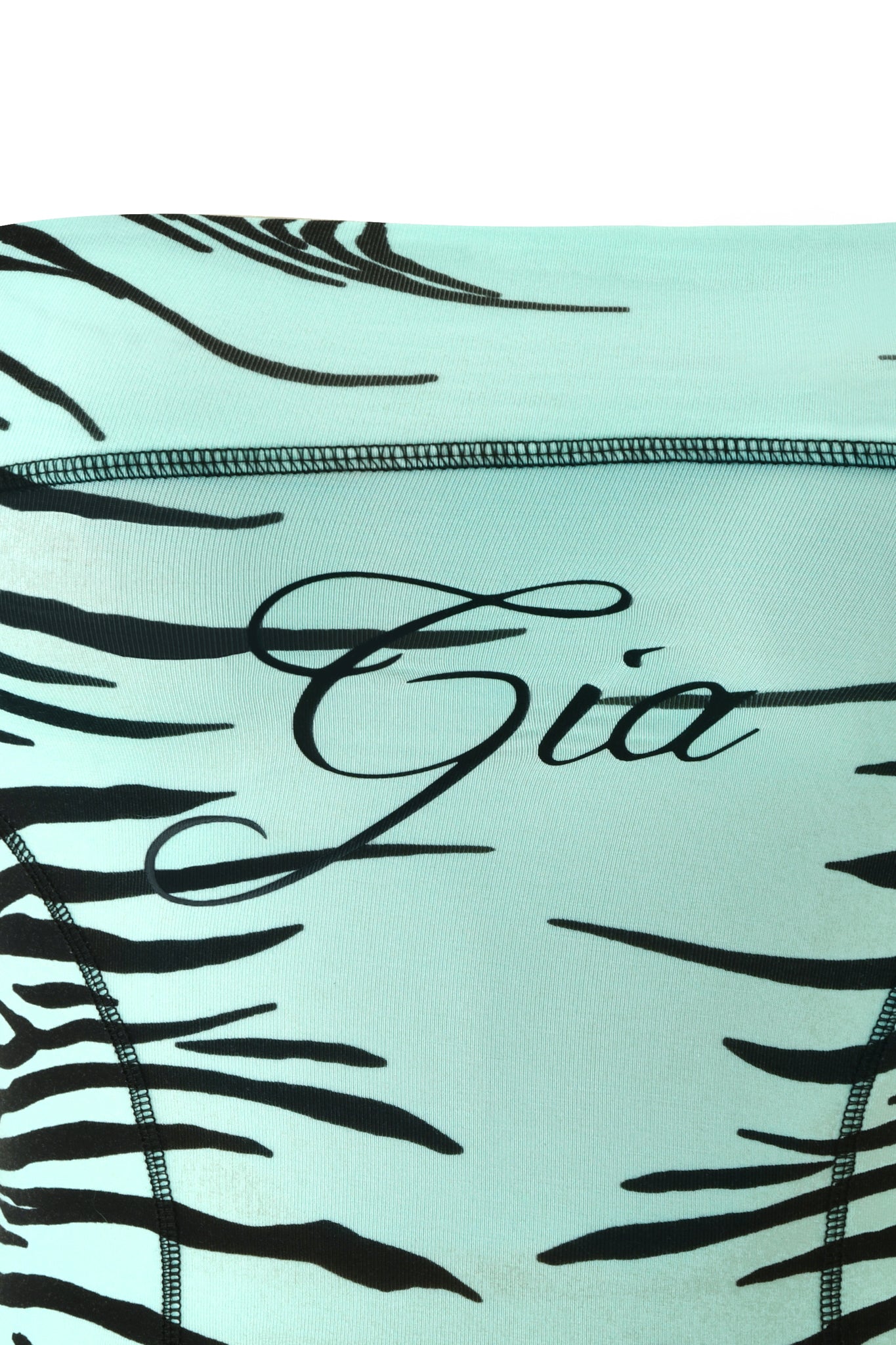 Close-up of the BLARE BOOB TUBE - AQUA FINE LINE ZEBRA by I.AM.GIA, featuring black fine line zebra stripes on an aqua background and “I.AM.GIA” printed in black cursive at the center.
