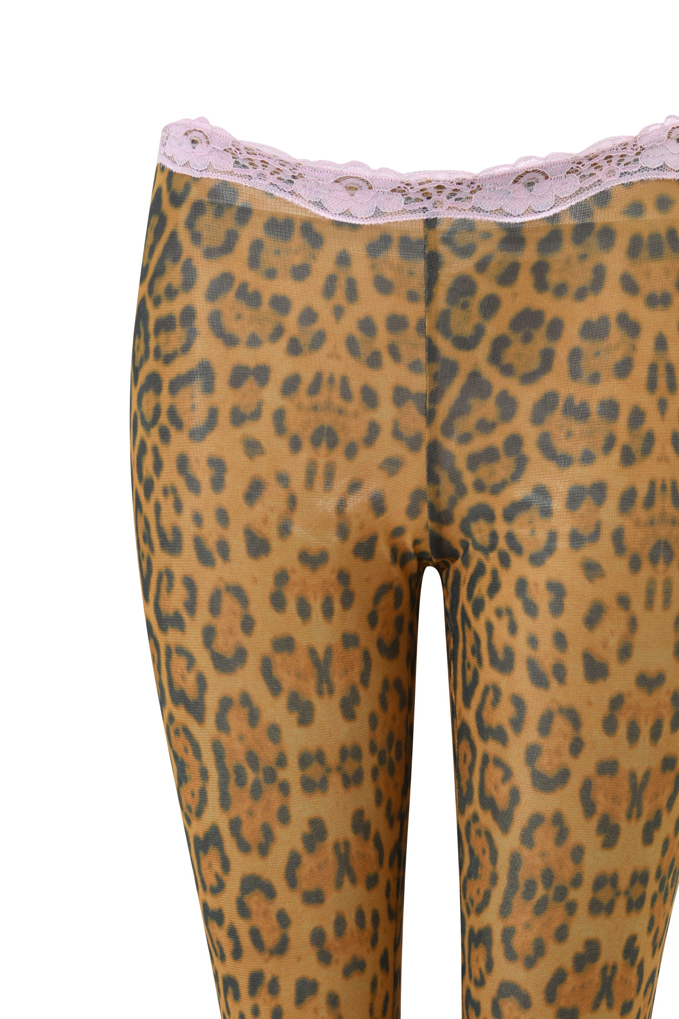 Close-up of a person wearing I.AM.GIA TASHI CAPRI - PANTHERA sheer cheetah print mesh capri pants with a pastel pink lace trim waistband, shown from waist to mid-thigh against a white background.