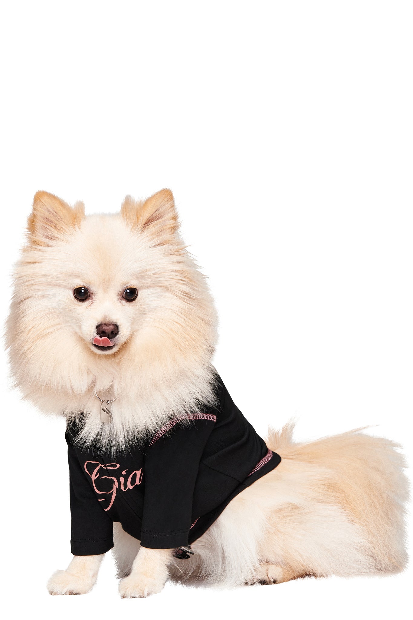 A fluffy, cream-colored Pomeranian sits facing forward in the black BLARE BEST FRIEND DOG HOODIE by I.AM.GIA, with pink writing, on a white background.