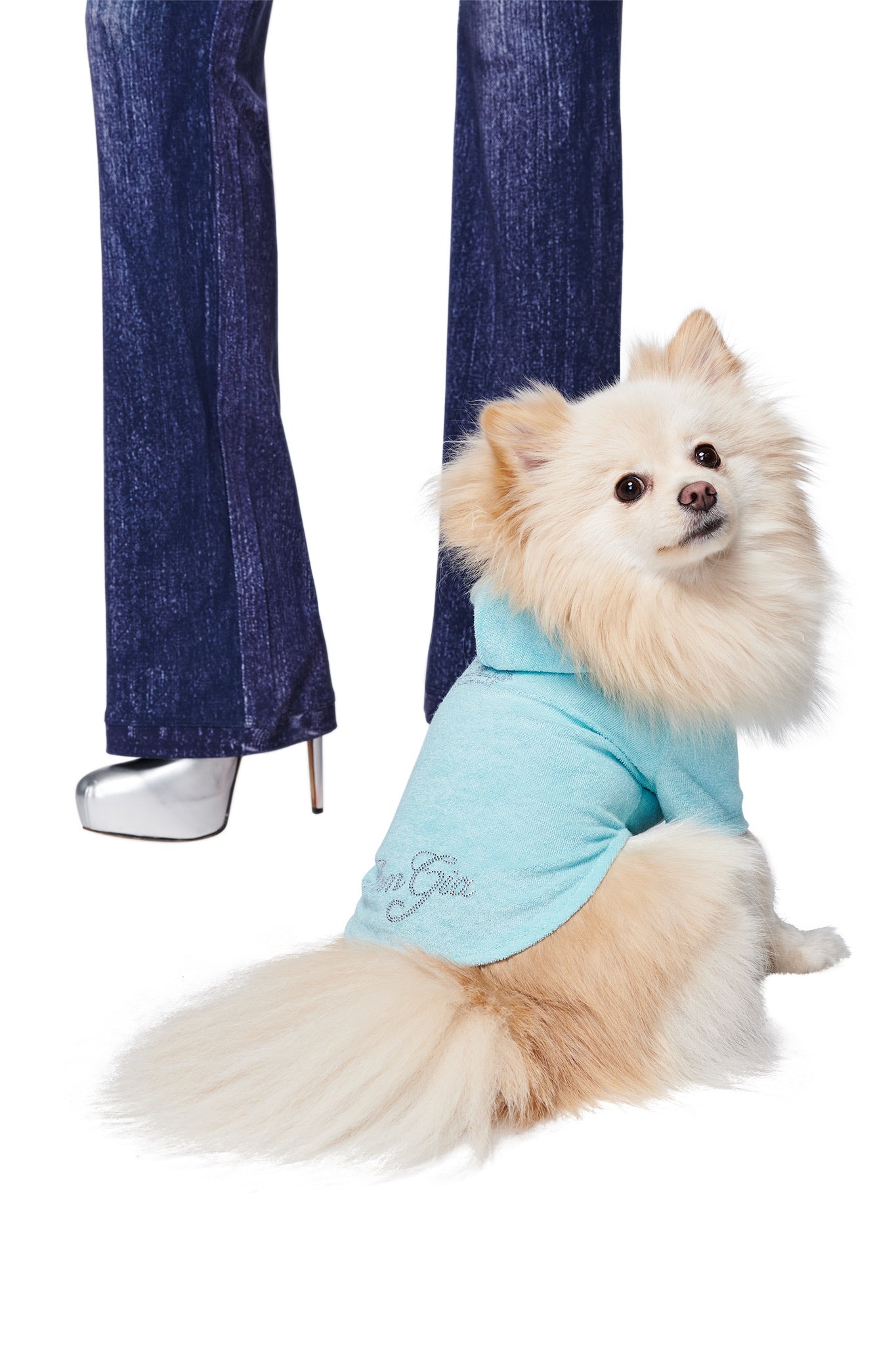 A fluffy cream-colored Pomeranian in the I.AM.GIA HONEY DOG HOODIE - BABY BLUE sits beside a person in dark blue jeans and silver high heels, set against a white background.