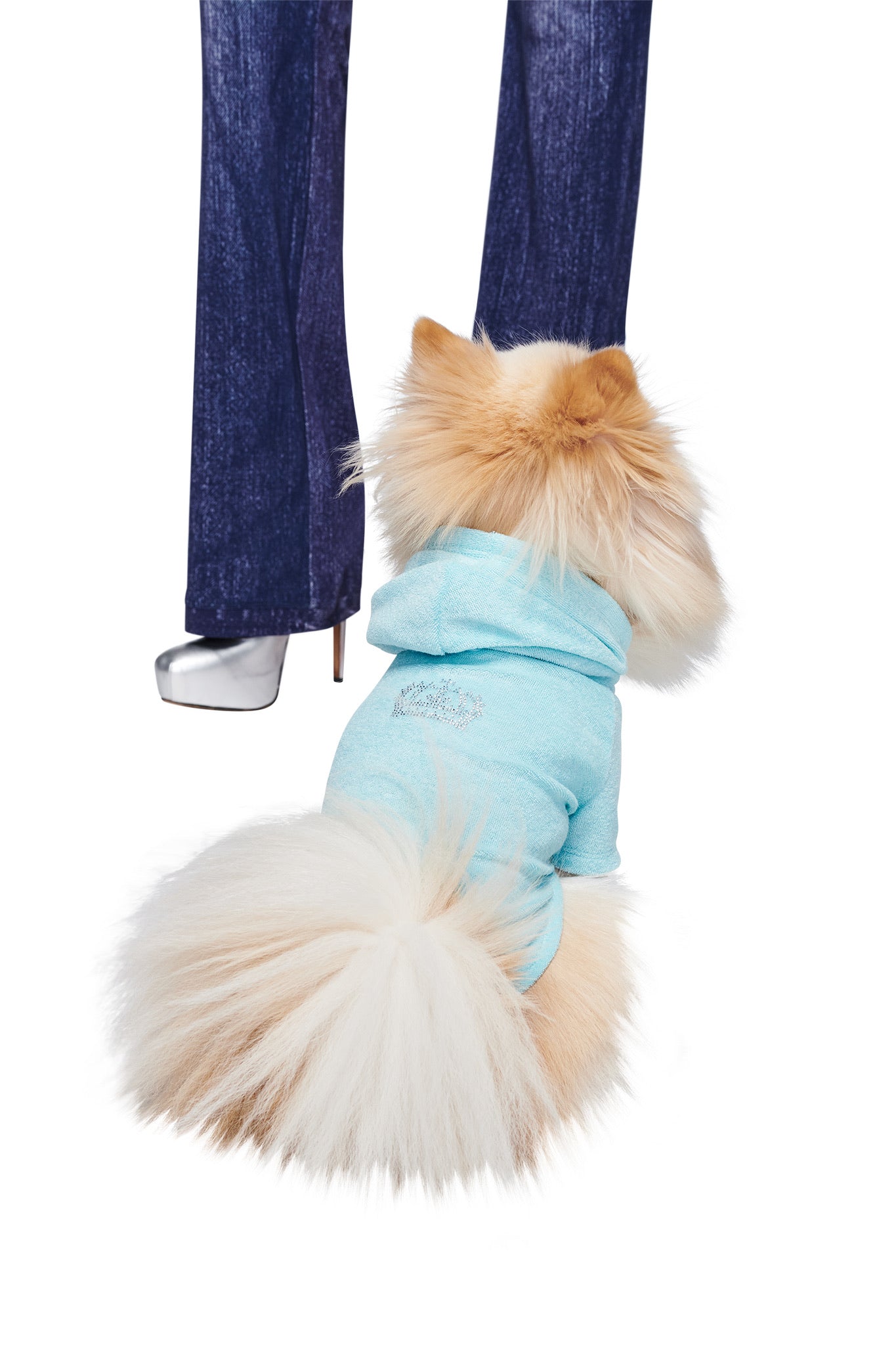 A fluffy, cream-colored dog in the I.AM.GIA HONEY DOG HOODIE - BABY BLUE sits facing a person wearing dark blue jeans and silver high heels, gazing up at them as they stand, visible only from the waist down.