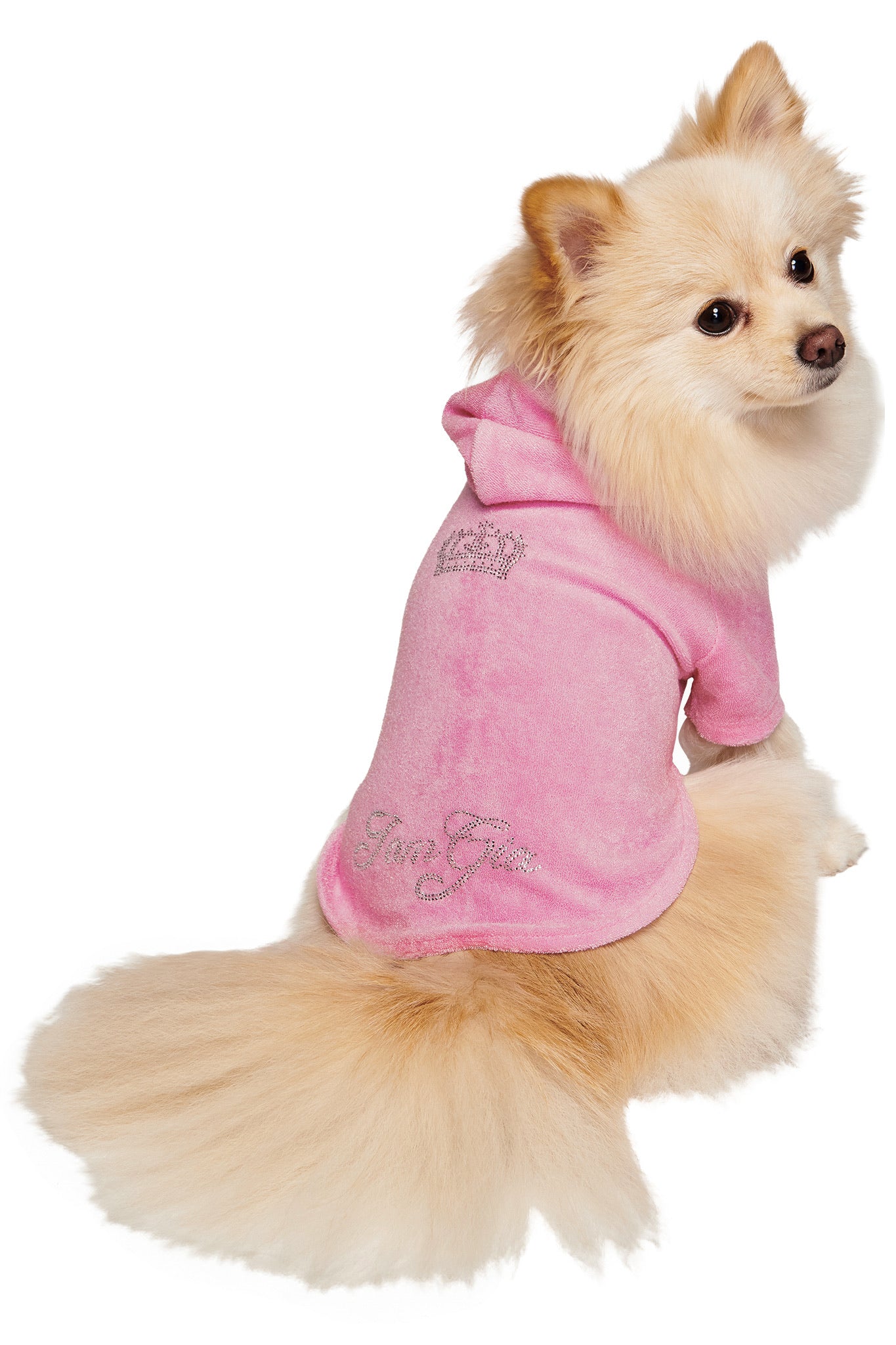A fluffy light brown Pomeranian sits facing backward, wearing the I.AM.GIA HONEY DOG HOODIE in pink—a cute hooded sweatshirt with sparkly text—looking over its shoulder.