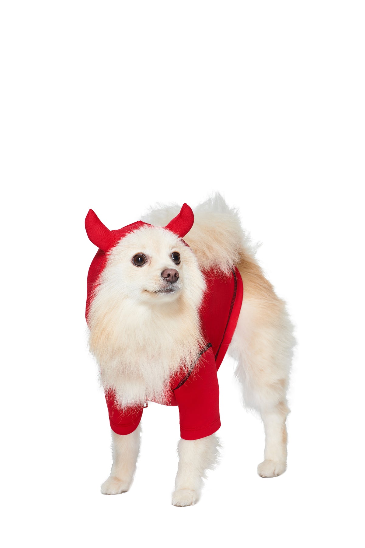 A fluffy white dog wears the T-REX BEST FRIEND BLARE HORN DOG HOODIE - RED by I.AM.GIA, featuring a hood with two small devil horns, against a white background.