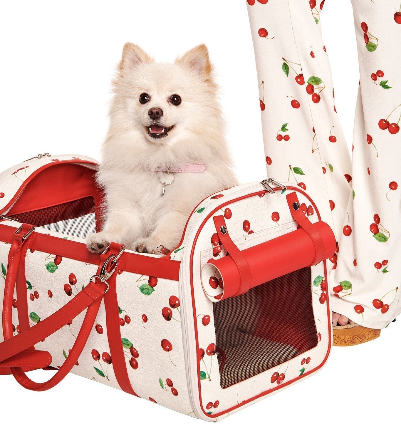 Best Friend Pet Accessories