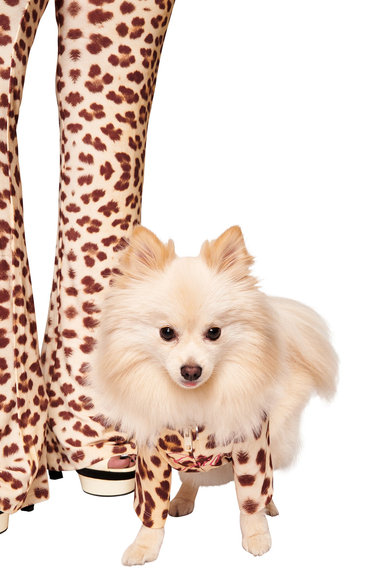 A cream-colored dog in the BLARE BEST FRIEND DOG HOODIE - WILD CARD by I.AM.GIA stands beside a person wearing matching I.AM.GIA leopard print pants and platform shoes, both posed against a white background.