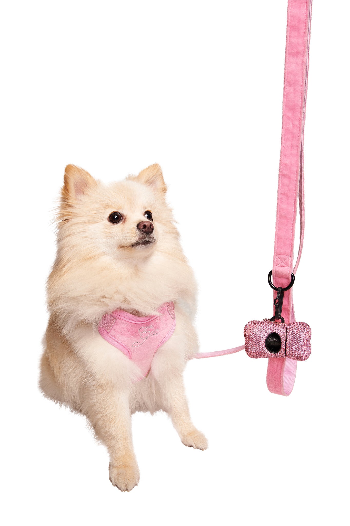 A fluffy white Pomeranian wears the I.AM.GIA STAR PAWFECT 3-PIECE SET in baby pink, featuring a velour harness, adjustable leash with attached rhinestone bag dispenser, all shown against a clean white background.