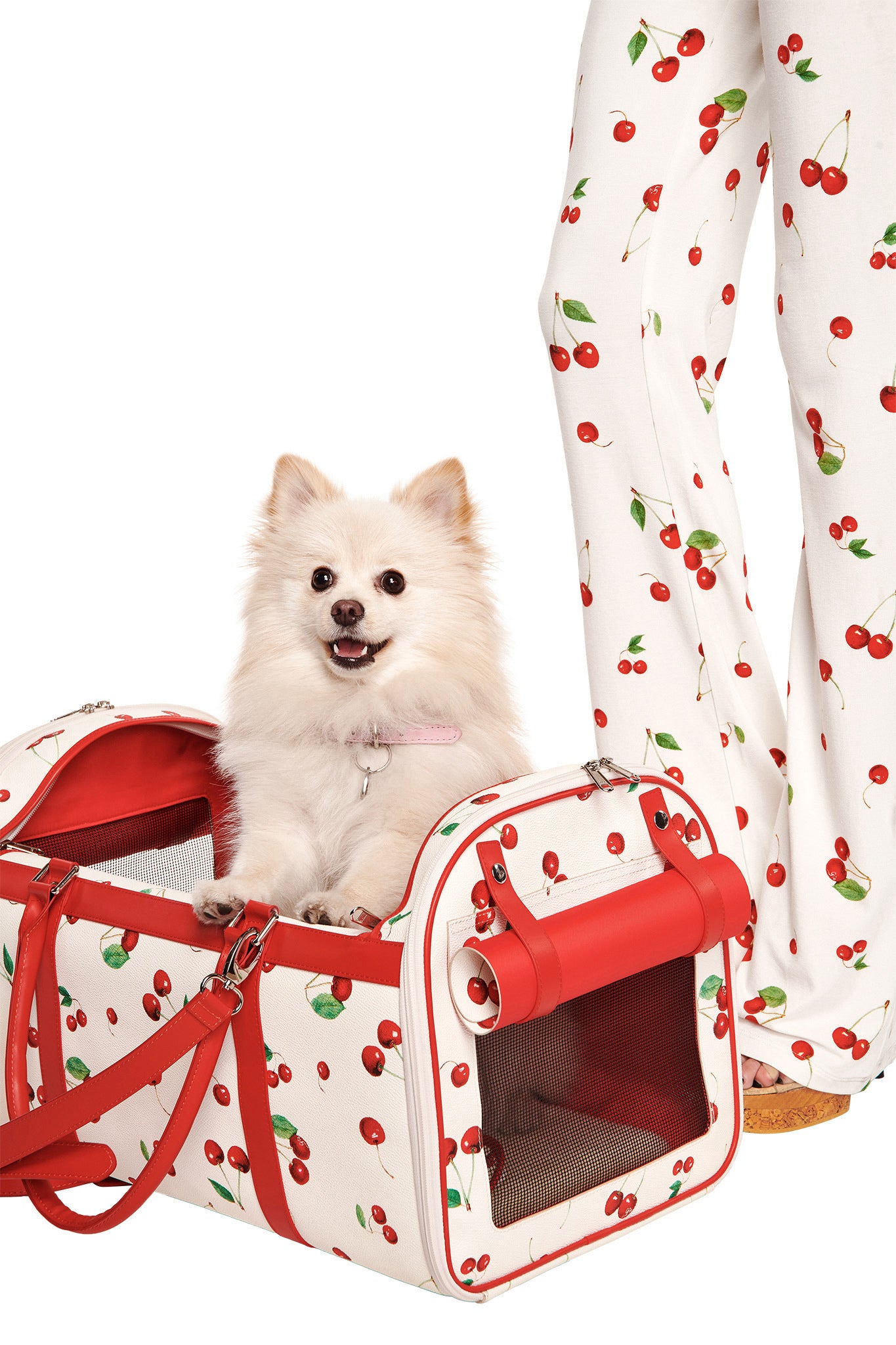 A small white dog sits in the I.AM.GIA TRIXX PET CARRIER - CHERRY ON TOP beside a person wearing matching cherry-printed pants.