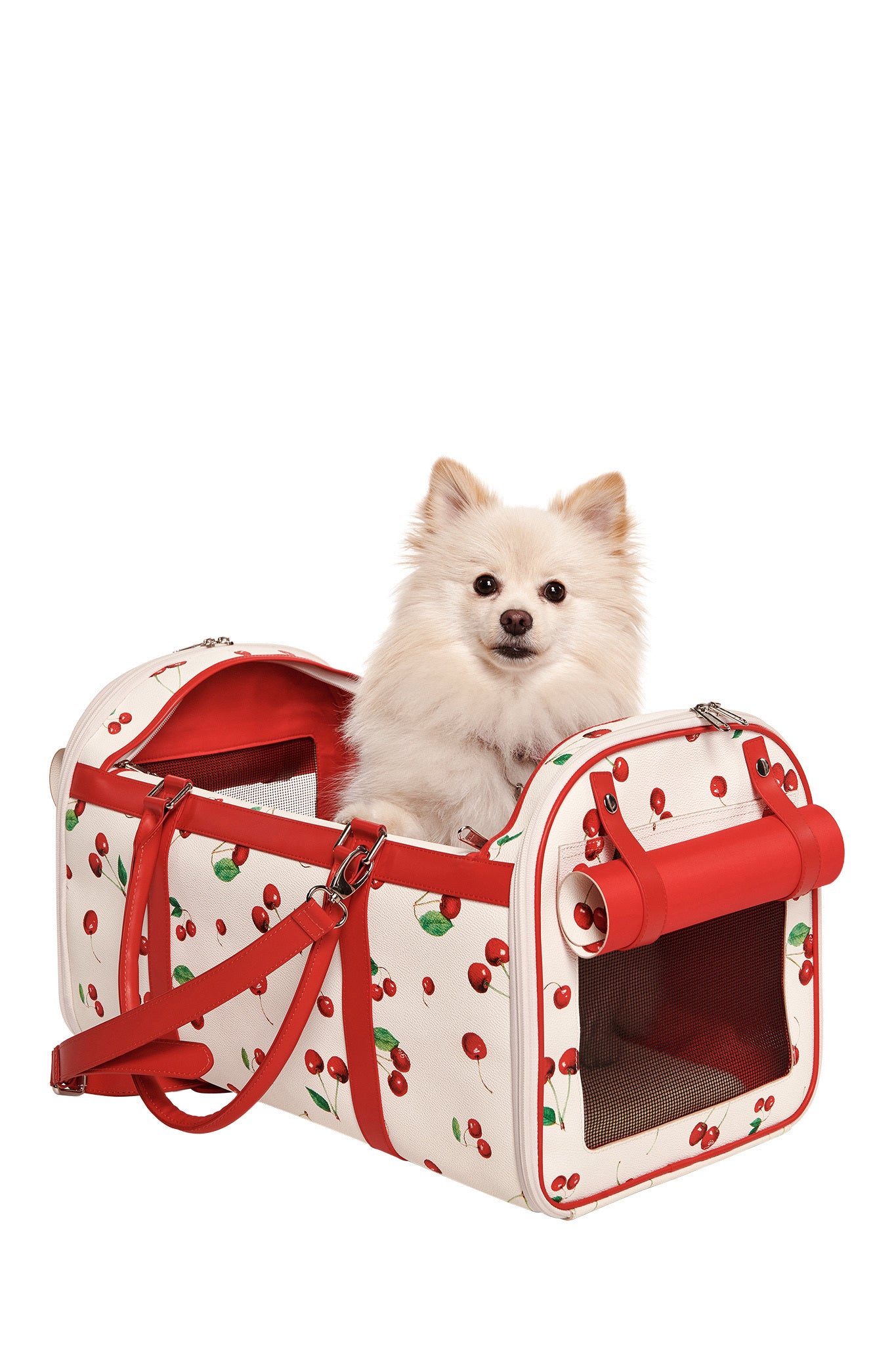 A small fluffy white dog sits in the I.AM.GIA TRIXX PET CARRIER - CHERRY ON TOP, a cherry print carrier with red accents, mesh panels, and a red shoulder strap.