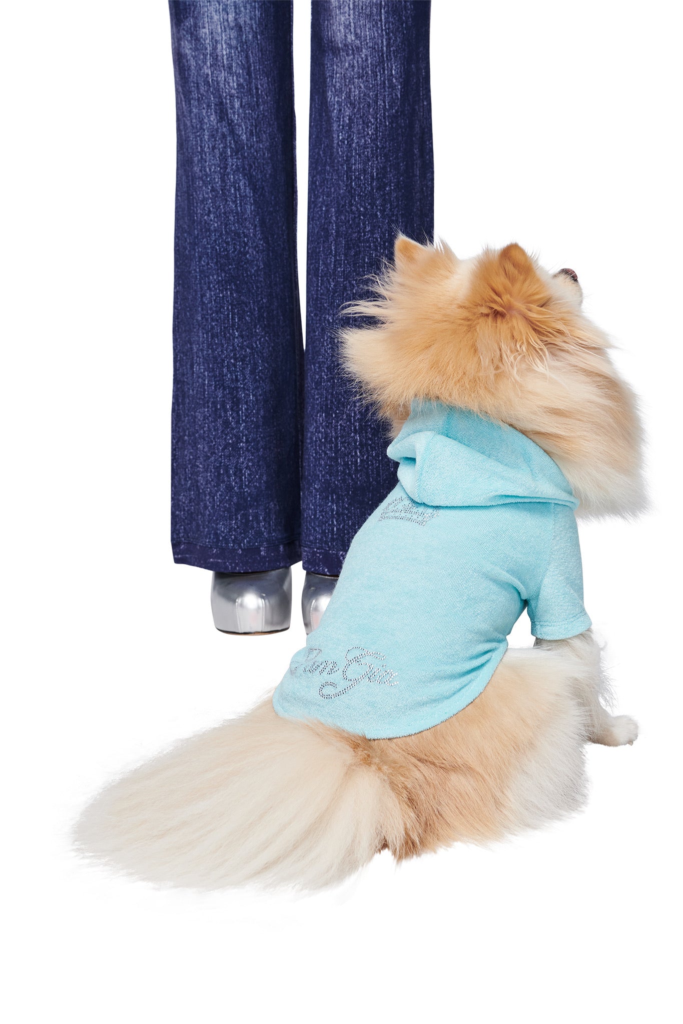 A fluffy dog wears the I.AM.GIA HONEY DOG HOODIE in Baby Blue, sitting on the floor and looking up at someone in flared jeans and silver shoes, its tail spread out behind to show off its stylish pup fashion.