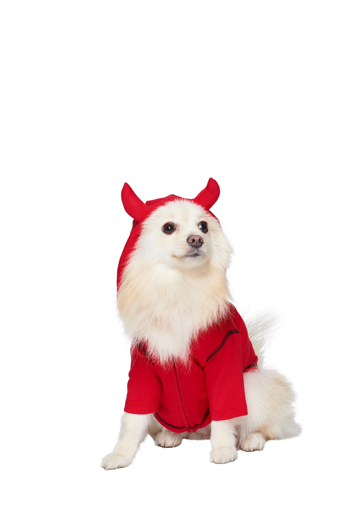 A fluffy white dog models the T-REX BEST FRIEND BLARE HORN DOG HOODIE - RED by I.AM.GIA, sitting and looking sideways against a plain white background.