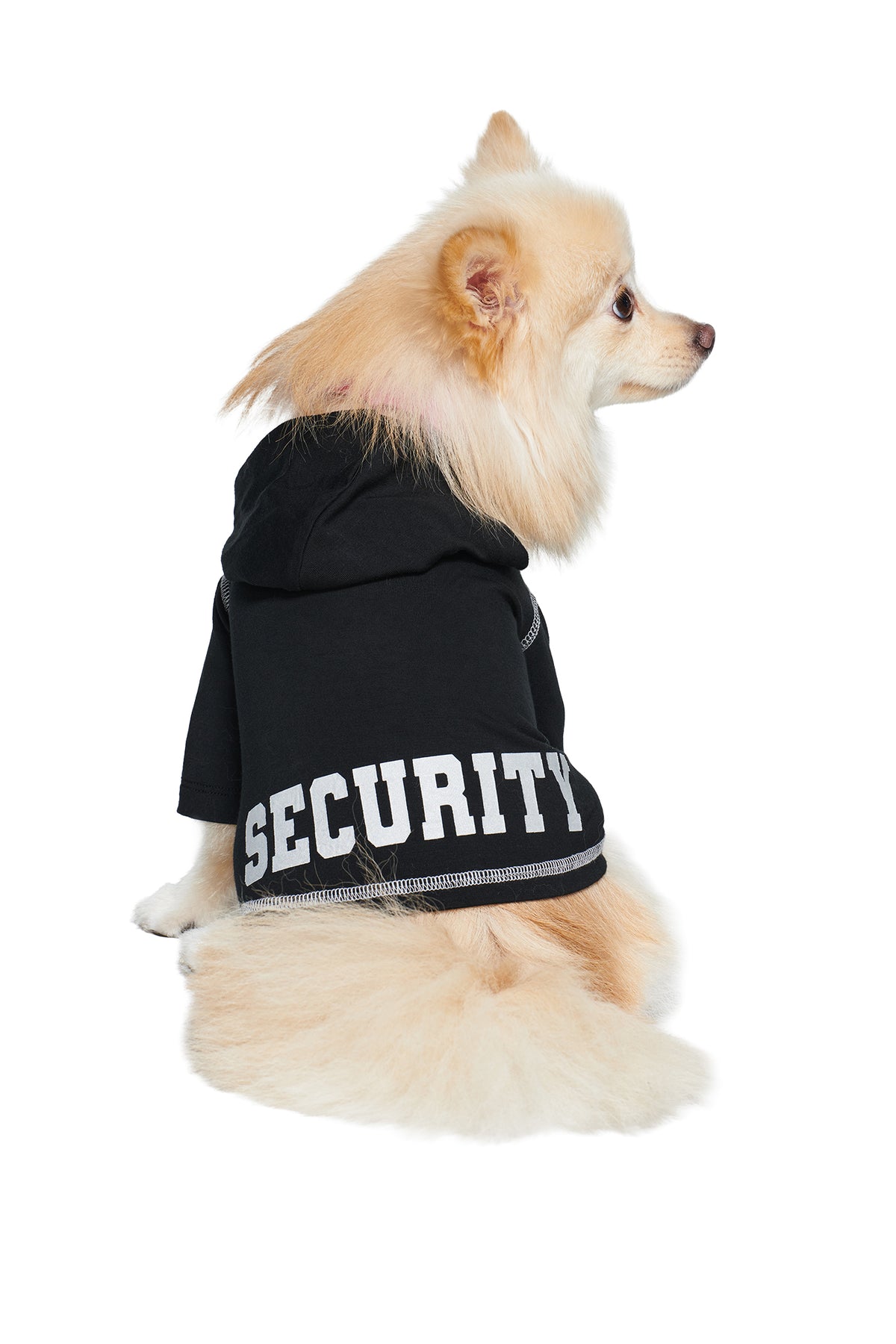 A fluffy light-colored dog sits facing to the right on a white background, wearing the I.AM.GIA BLARE DOG HOODIE - JET BLACK : SECURITY, which features the word “SECURITY” printed in large white letters on the back.